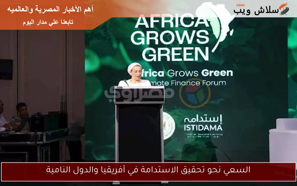 السعي نحو تحقيق الاستدامة في أفريقيا والدول النامية