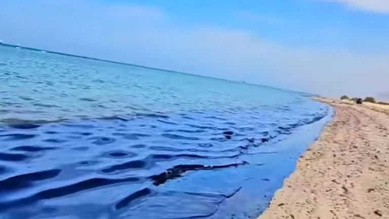 خطوة أولى من الجهات البيئية لمواجهة التلوث البترولي بالقرب من أبورديس