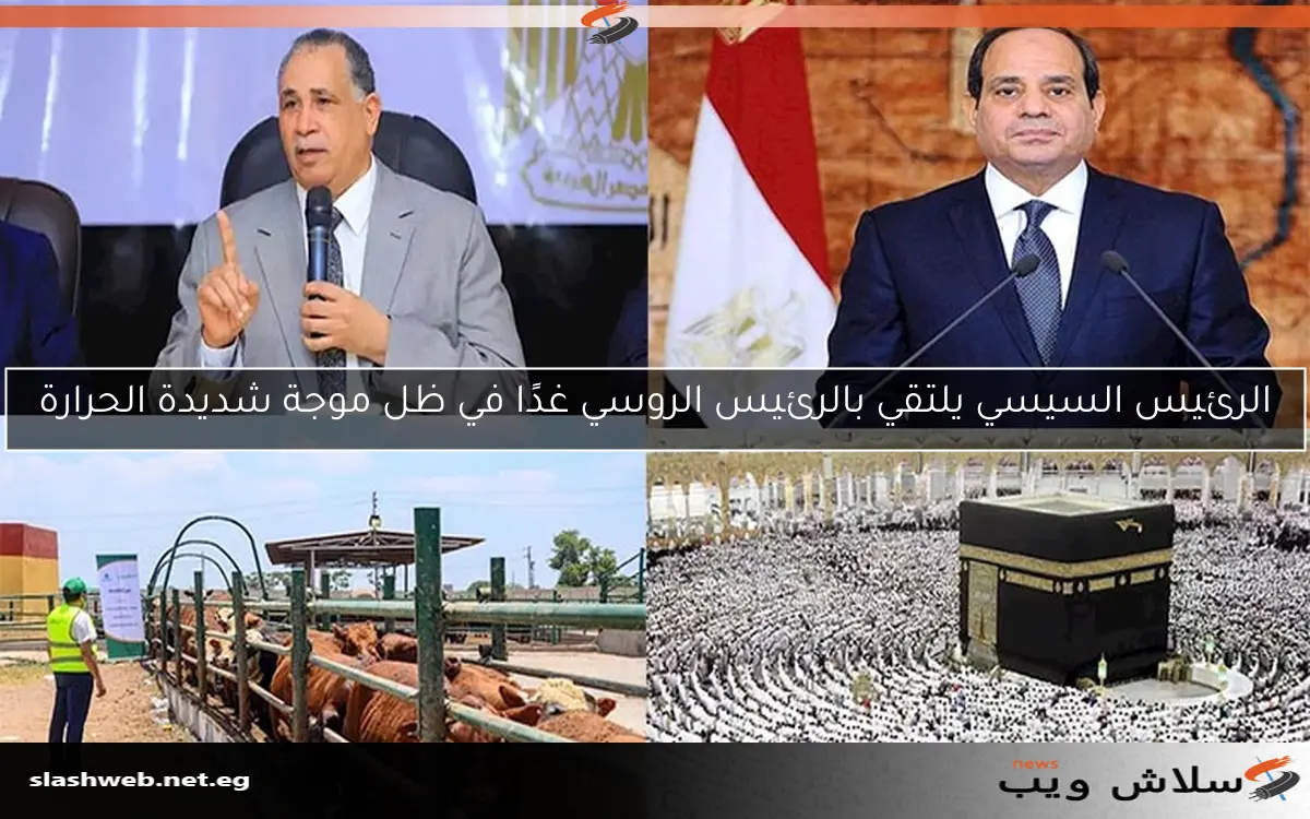 الرئيس السيسي يلتقي بالرئيس الروسي غدًا في ظل موجة شديدة الحرارة