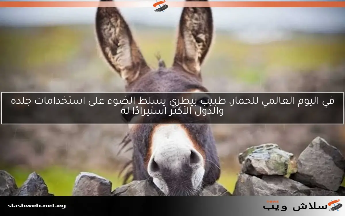 في اليوم العالمي للحمار، طبيب بيطري يسلط الضوء على استخدامات جلده والدول الأكثر استيرادًا له