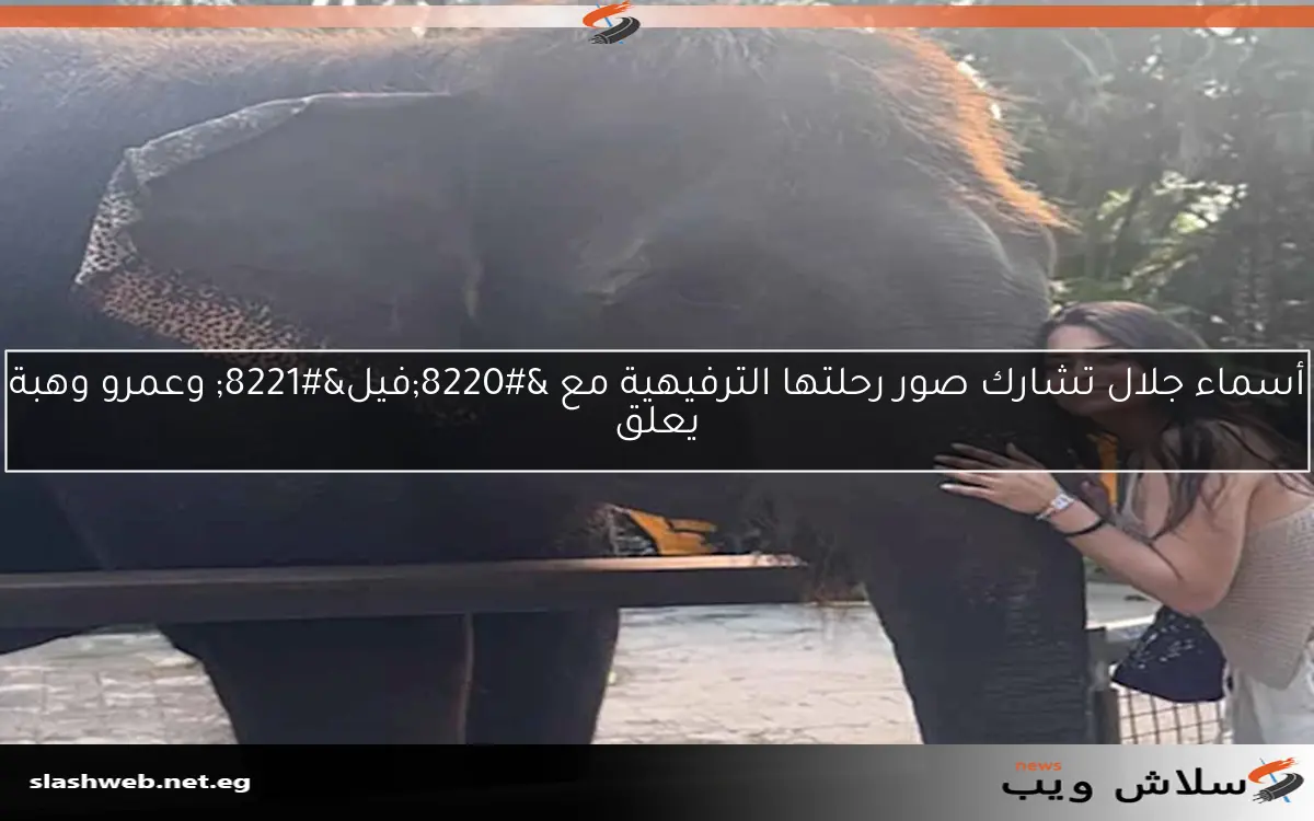 أسماء جلال تشارك صور رحلتها الترفيهية مع “فيل” وعمرو وهبة يعلق