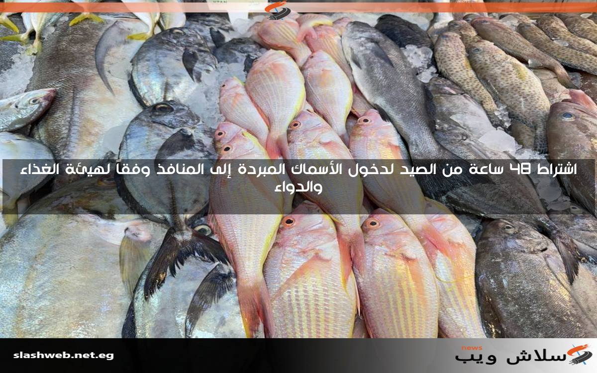 اشتراط 48 ساعة من الصيد لدخول الأسماك المبردة إلى المنافذ وفقاً لهيئة الغذاء والدواء