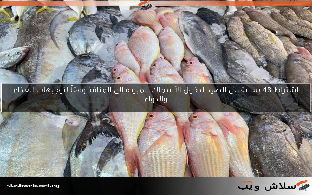اشتراط 48 ساعة من الصيد لدخول الأسماك المبردة إلى المنافذ وفقاً لتوجيهات الغذاء والدواء
