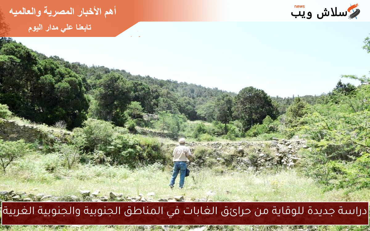 دراسة جديدة للوقاية من حرائق الغابات في المناطق الجنوبية والجنوبية الغربية