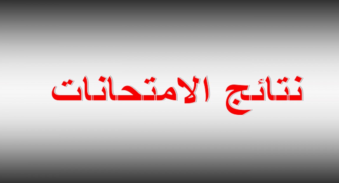 رابط بوابة التعليم الأساسي 4و5و6 ابتدائي.. نتيجة الصف الرابع والخامس والسادس الابتدائي 2025 بالاسم ورقم الجلوس