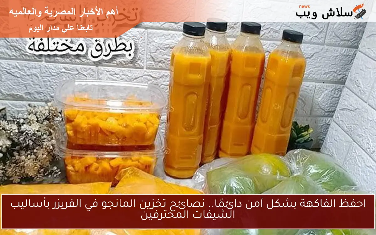 احفظ الفاكهة بشكل آمن دائمًا.. نصائح تخزين المانجو في الفريزر بأساليب الشيفات المحترفين