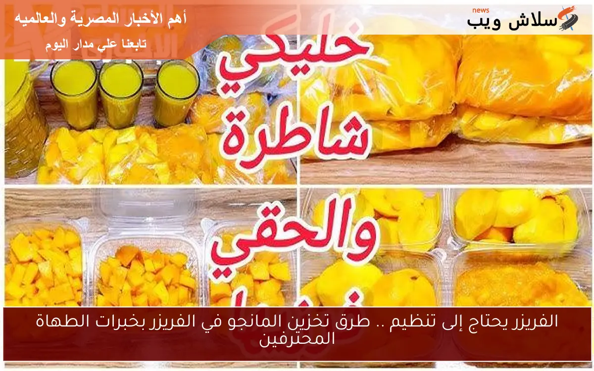 الفريزر يحتاج إلى تنظيم .. طرق تخزين المانجو في الفريزر بخبرات الطهاة المحترفين