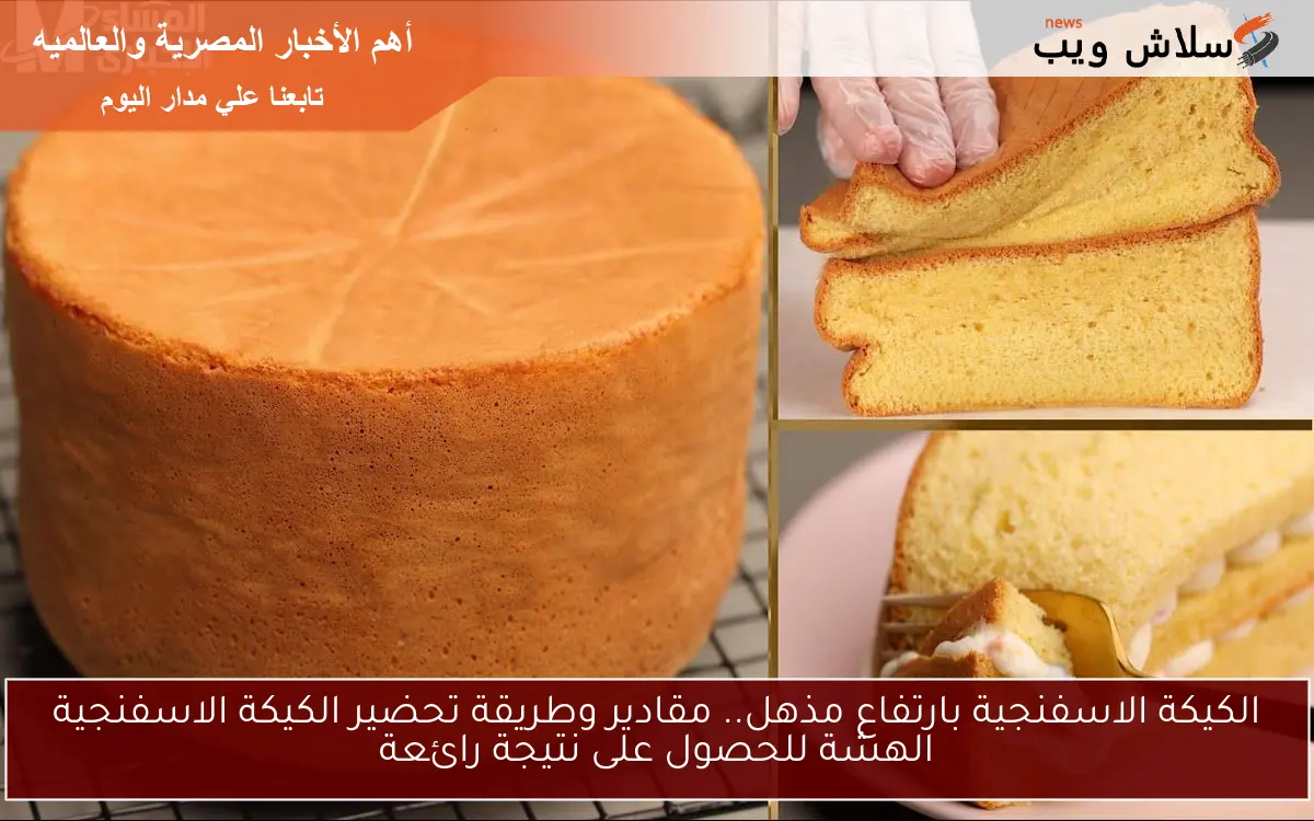 الكيكة الاسفنجية بارتفاع مذهل.. مقادير وطريقة تحضير الكيكة الاسفنجية الهشة للحصول على نتيجة رائعة