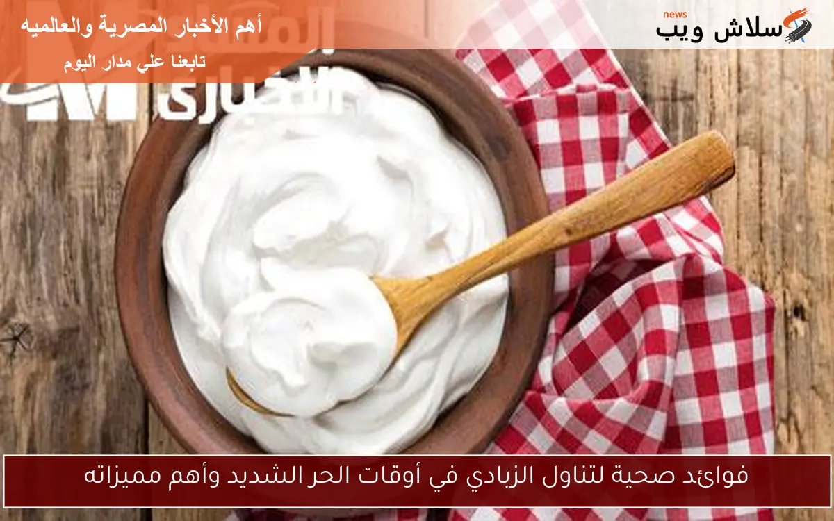 فوائد صحية لتناول الزبادي في أوقات الحر الشديد وأهم مميزاته