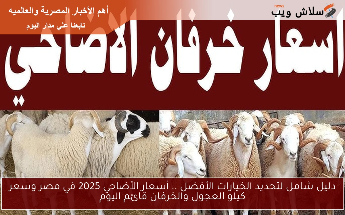 أيام قليلة ويهل العيد علينا .. أسعار الأضاحي 2025 في مصر وسعر كيلو العجول والخرفان قائم اليوم