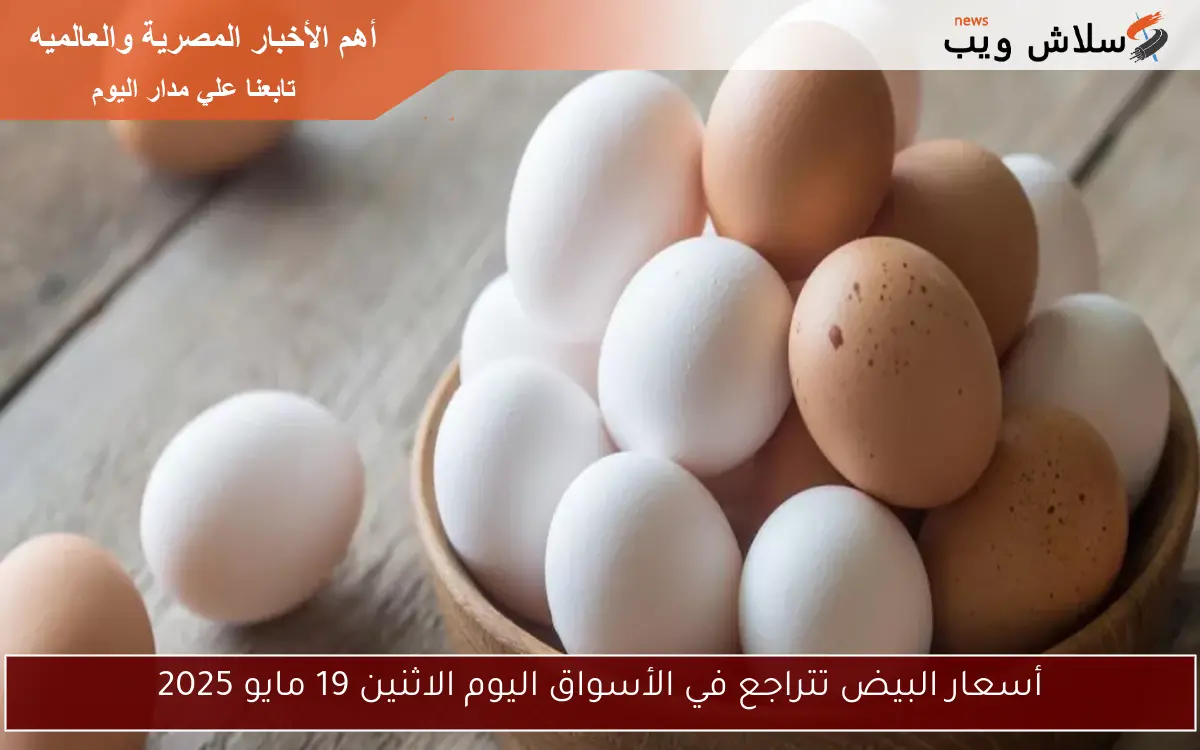 أسعار البيض تتراجع في الأسواق اليوم الاثنين 19 مايو 2025