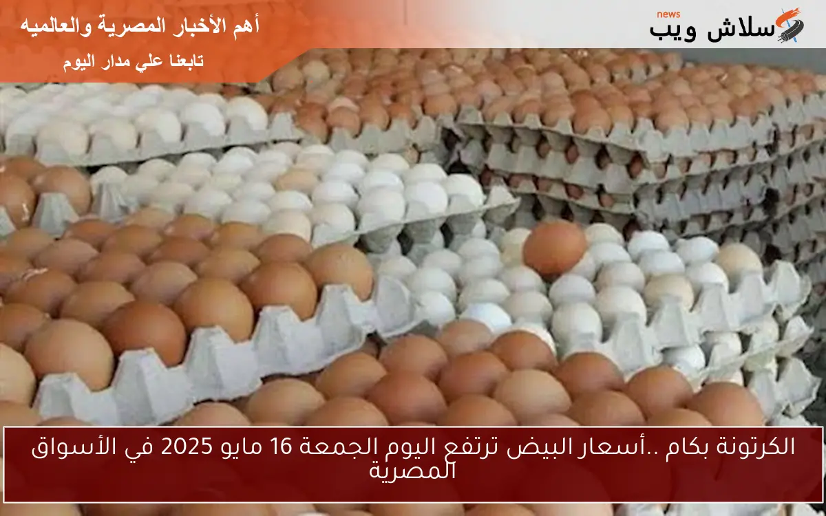 الكرتونة بكام ..أسعار البيض ترتفع اليوم الجمعة 16 مايو 2025 في الأسواق المصرية