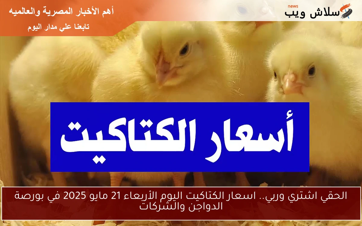 الحقي اشتري وربي.. اسعار الكتاكيت اليوم الأربعاء 21 مايو 2025 في بورصة الدواجن والشركات