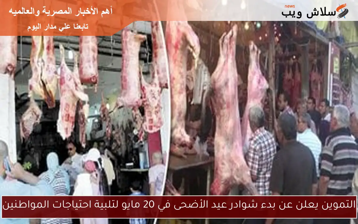 التموين يعلن عن بدء شوادر عيد الأضحى في 20 مايو لتلبية احتياجات المواطنين