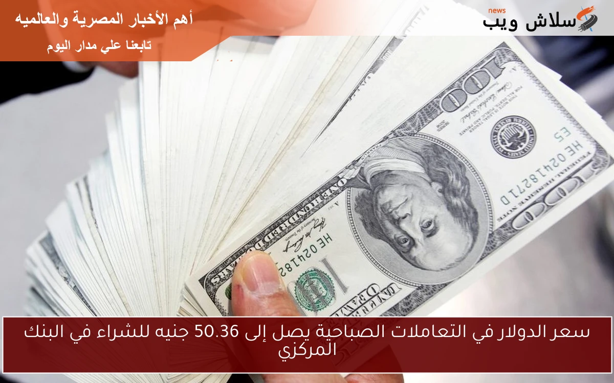 سعر الدولار في التعاملات الصباحية يصل إلى 50.36 جنيه للشراء في البنك المركزي