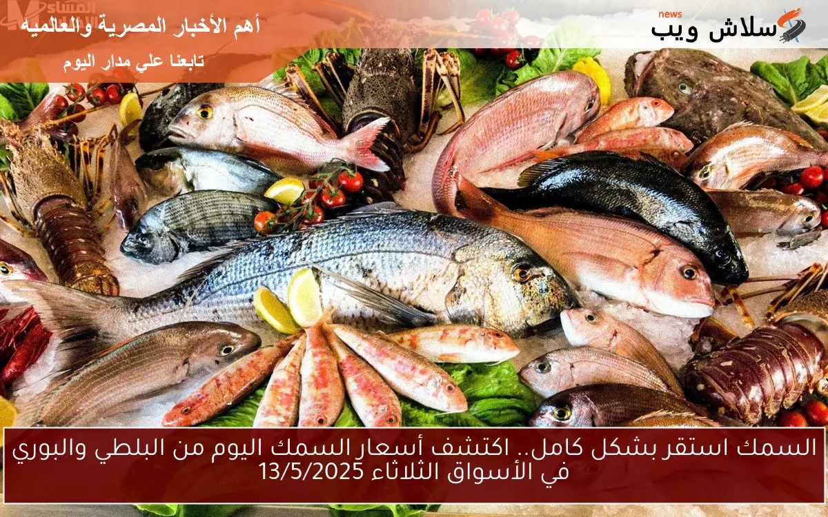 السمك استقر بشكل كامل.. اكتشف أسعار السمك اليوم من البلطي والبوري في الأسواق الثلاثاء 13/5/2025