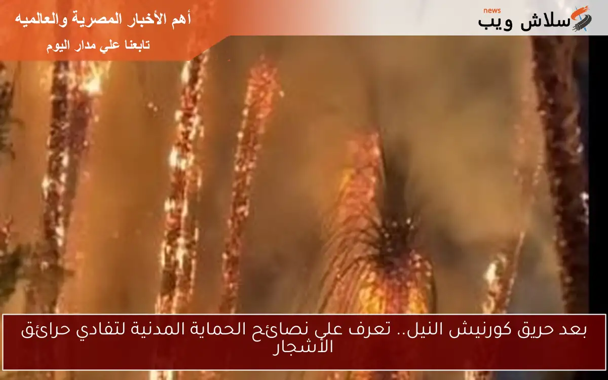 بعد حريق كورنيش النيل.. تعرف على نصائح الحماية المدنية لتفادي حرائق الأشجار