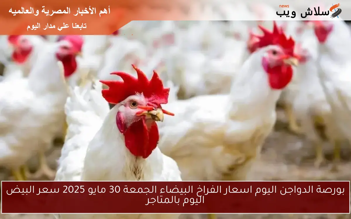 بورصة الدواجن اليوم اسعار الفراخ البيضاء الجمعة 30 مايو 2025 سعر البيض اليوم بالمتاجر