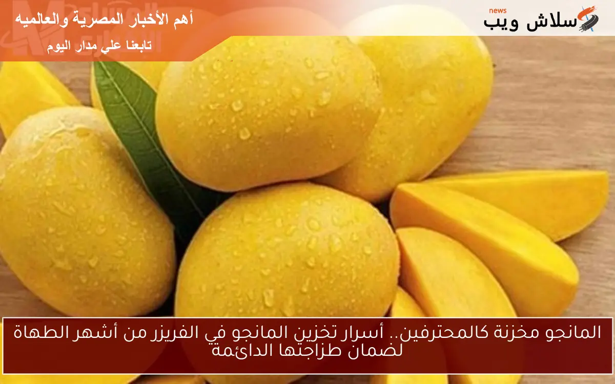 المانجو مخزنة كالمحترفين.. أسرار تخزين المانجو في الفريزر من أشهر الطهاة لضمان طزاجتها الدائمة