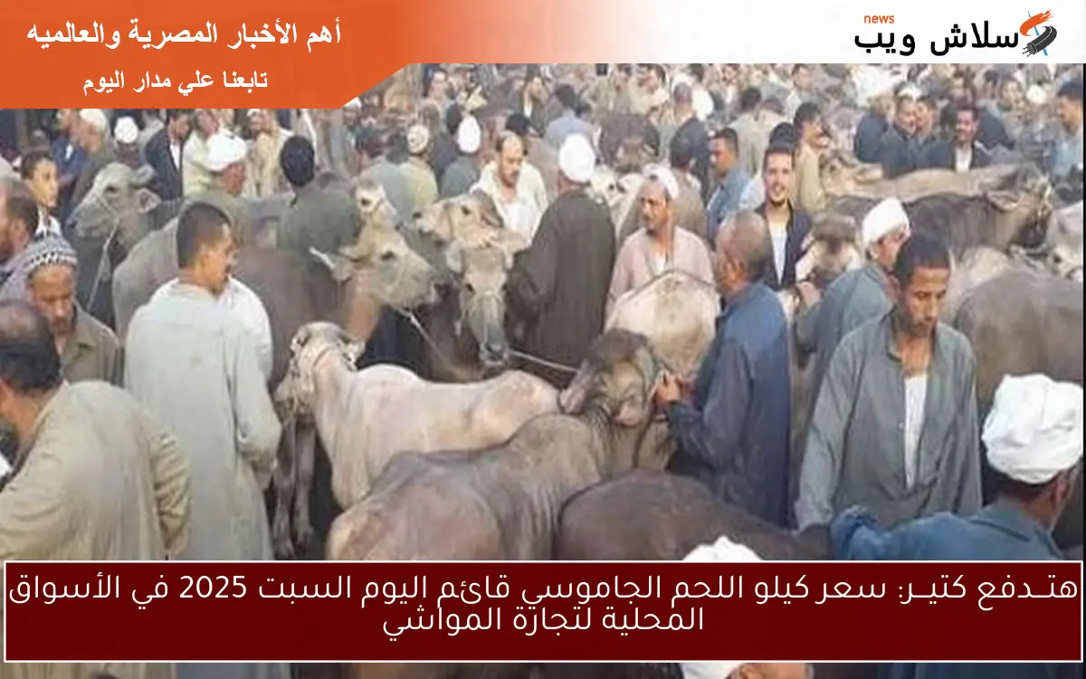 هتـــدفع كتيـــر: سعر كيلو اللحم الجاموسي قائم اليوم السبت 2025 في الأسواق المحلية لتجارة المواشي