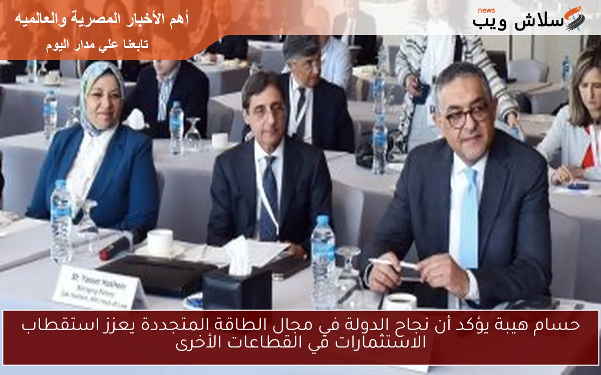 حسام هيبة يؤكد أن نجاح الدولة في مجال الطاقة المتجددة يعزز استقطاب الاستثمارات في القطاعات الأخرى