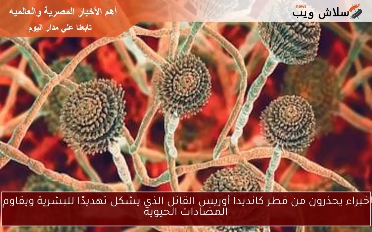 خبراء يحذرون من فطر كانديدا أوريس القاتل الذي يشكل تهديدًا للبشرية ويقاوم المضادات الحيوية