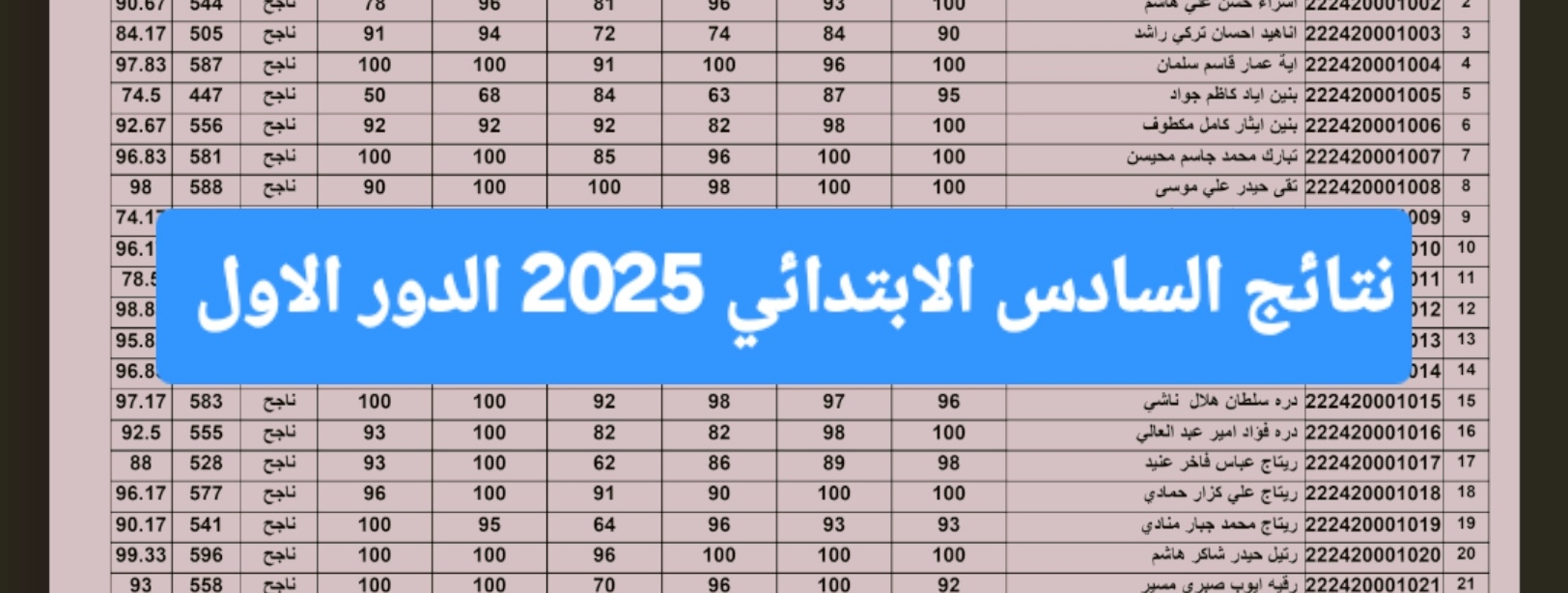 وزارة التربية العراقية: رابط تقديم اعتراضات علي نتائج السادس الابتدائي 2025 الدور الأول في العراق epedu.gov.iq