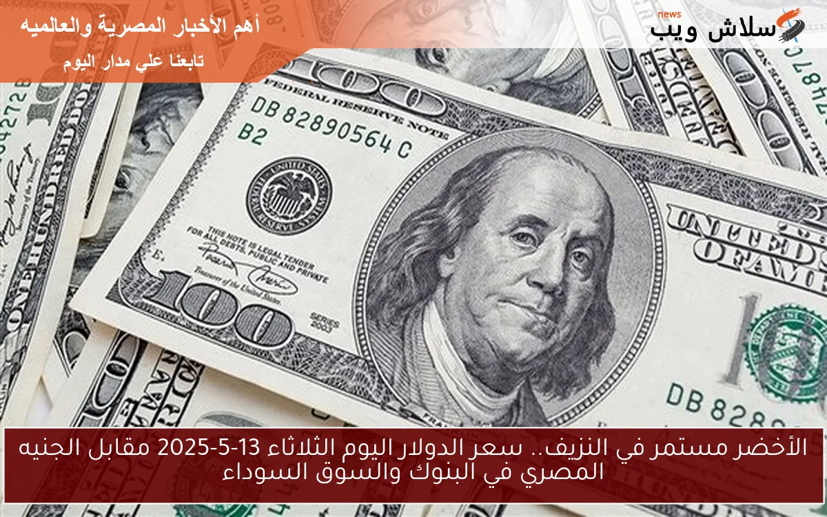 الأخضر مستمر في النزيف.. سعر الدولار اليوم الثلاثاء 13-5-2025 مقابل الجنيه المصري في البنوك والسوق السوداء