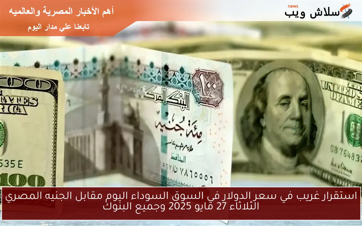 استقرار غريب للأمريكي Dollar .. سعر الدولار في السوق السوداء اليوم مقابل الجنيه المصري الثلاثاء 27 مايو 2025 وجميع البنوك