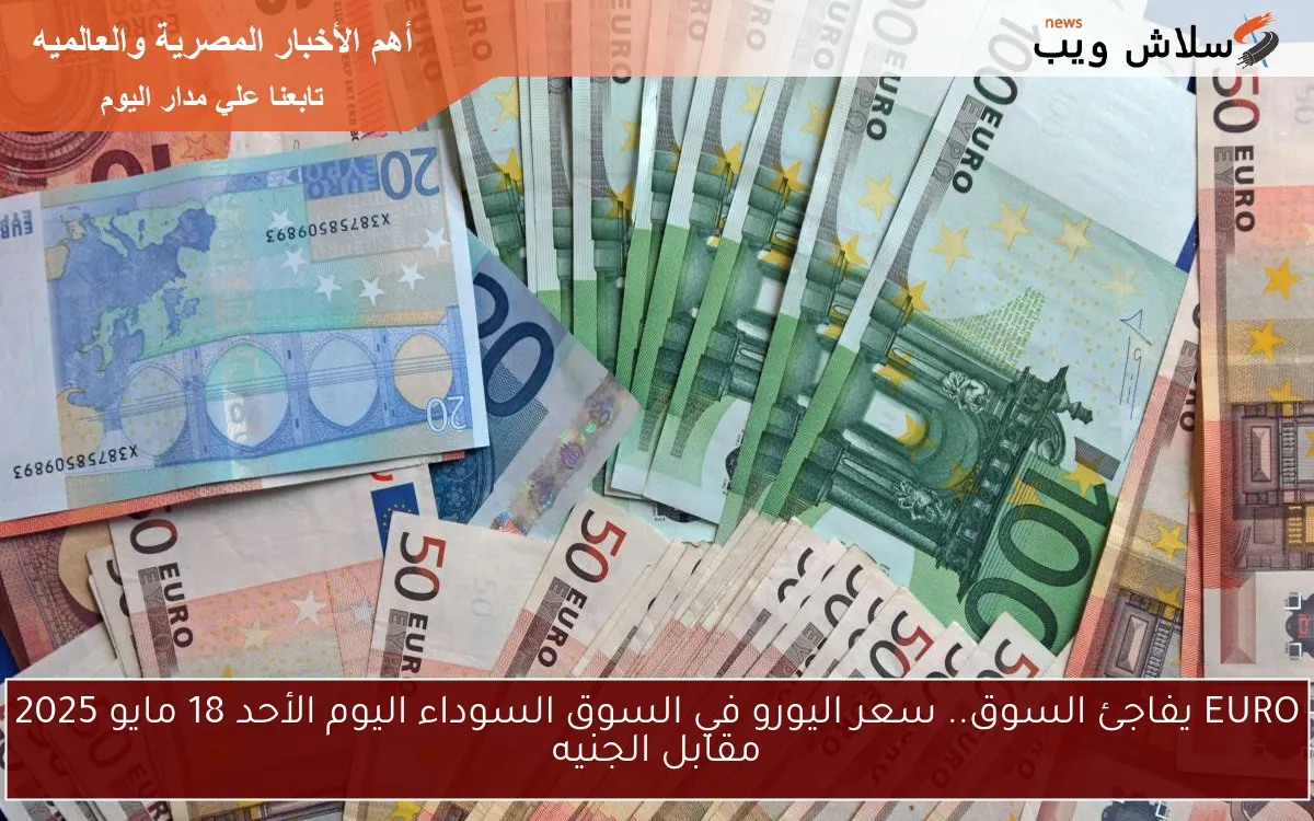EURO يفاجئ السوق.. سعر اليورو في السوق السوداء اليوم الأحد 18 مايو 2025 مقابل الجنيه