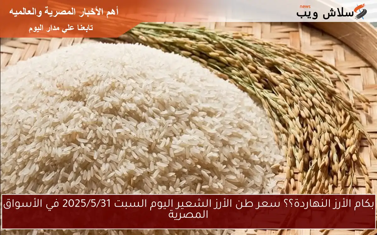 بكام الأرز النهاردة؟؟ سعر طن الأرز الشعير اليوم السبت 2025/5/31 في الأسواق المصرية