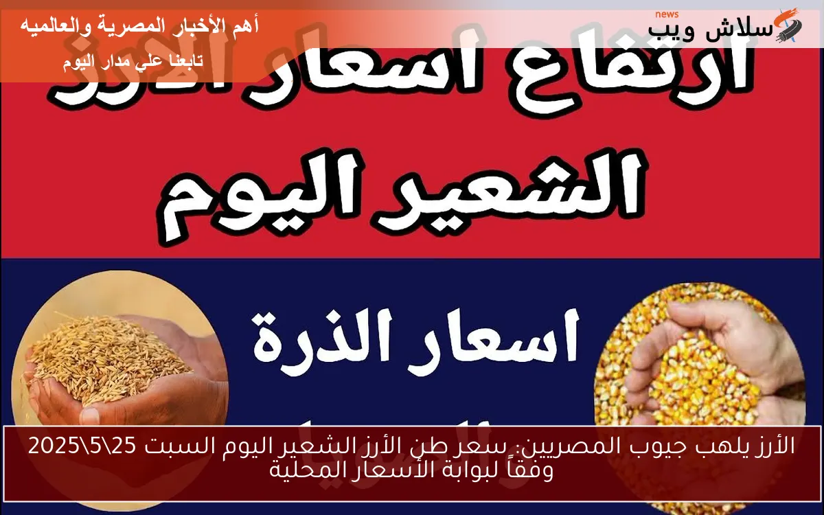 الأرز يلهب جيوب المصريين: سعر طن الأرز الشعير اليوم السبت 24\5\2025 وفقاً لبوابة الأسعار المحلية