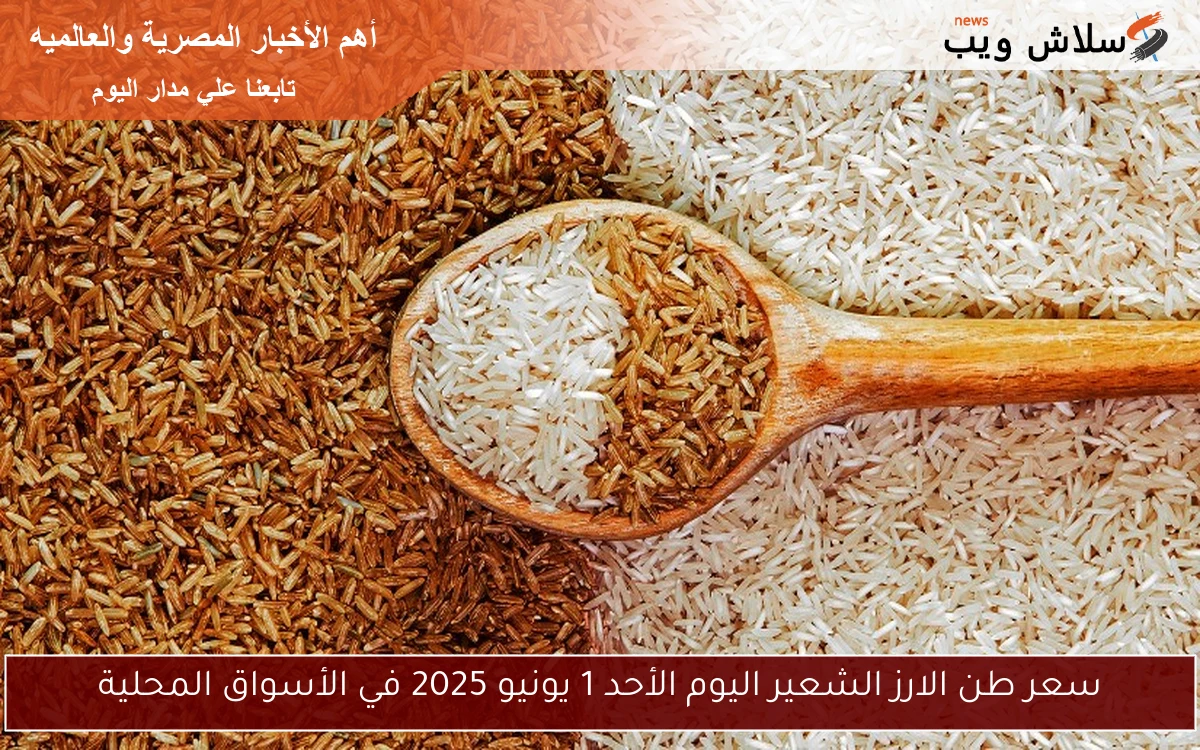 سعر طن الارز الشعير اليوم الأحد 1 يونيو 2025 في الأسواق المحلية