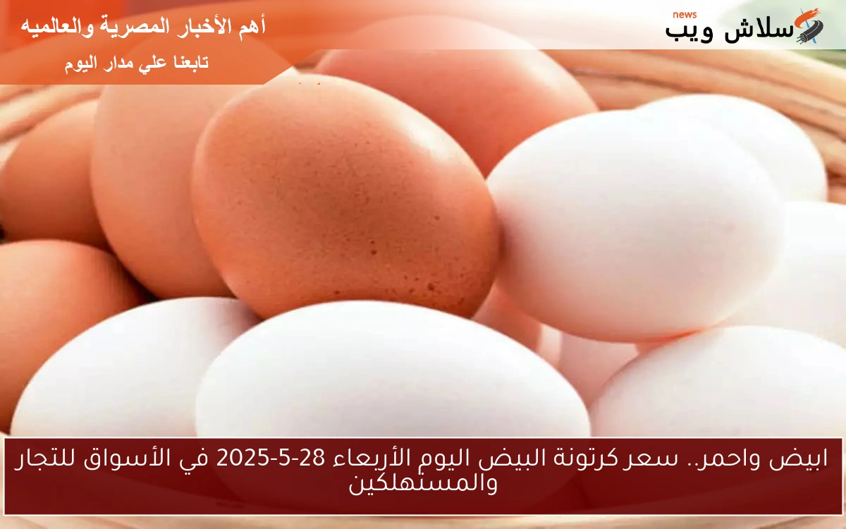 ابيض واحمر.. سعر كرتونة البيض اليوم الأربعاء 28-5-2025 في الأسواق للتجار والمستهلكين