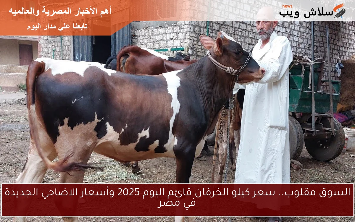 ارتفاع جديد في الأسواق النهاردة Now .. سعر كيلو الخرفان قائم اليوم 2025 وأسعار الاضاحي الجديدة في مصر