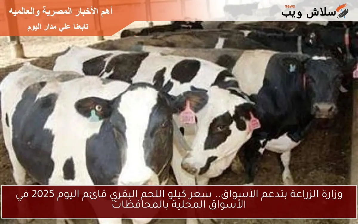 وزارة الزراعة بتدعم الأسواق.. سعر كيلو اللحم البقري قائم اليوم 2025 في الأسواق المحلية بالمحافظات