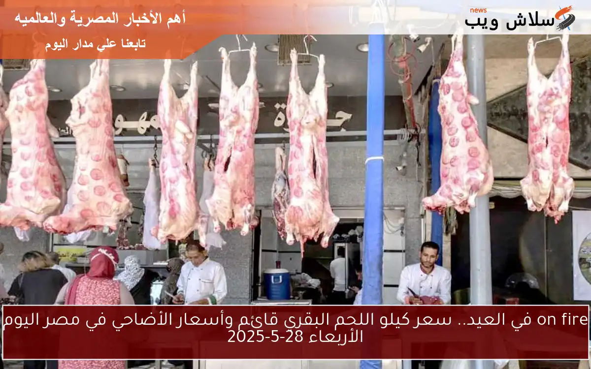 1/3 علي المساكين.. سعر كيلو اللحم البقري قائم وأسعار الأضاحي في مصر اليوم الجمعة 30 / 5 / 2025