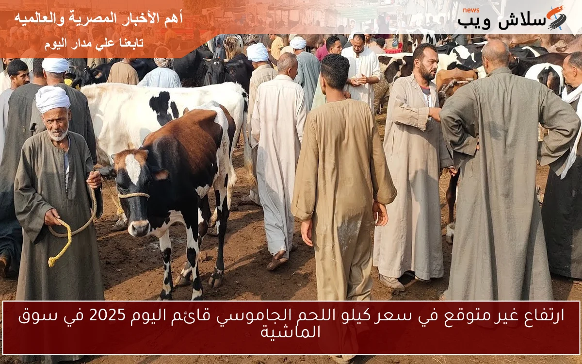 ارتفاع غير متوقع في سعر كيلو اللحم الجاموسي قائم اليوم 2025 في سوق الماشية