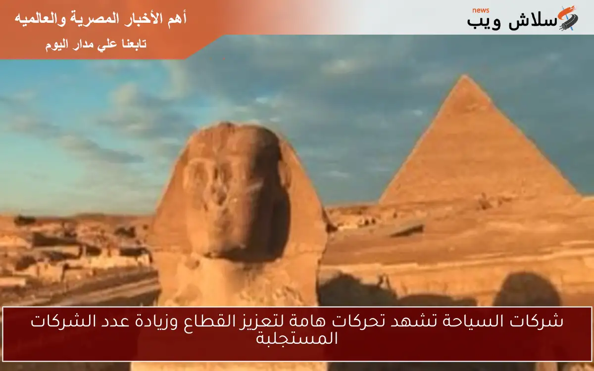 شركات السياحة تشهد تحركات هامة لتعزيز القطاع وزيادة عدد الشركات المستجلبة