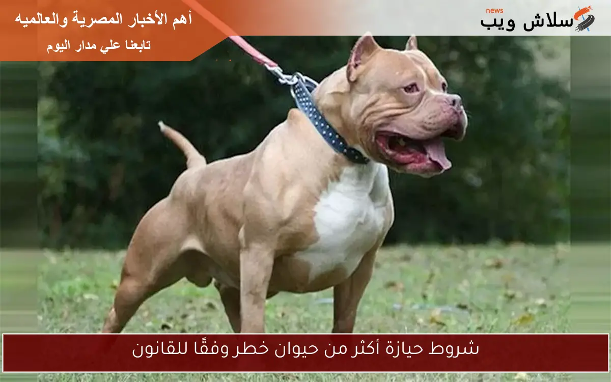 شروط حيازة أكثر من حيوان خطر وفقًا للقانون