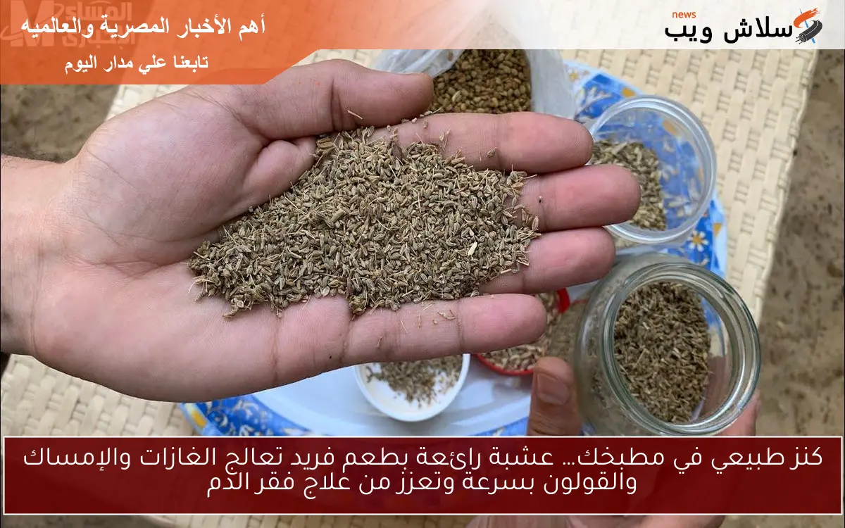 كنز طبيعي في مطبخك… عشبة رائعة بطعم فريد تعالج الغازات والإمساك والقولون بسرعة وتعزز من علاج فقر الدم