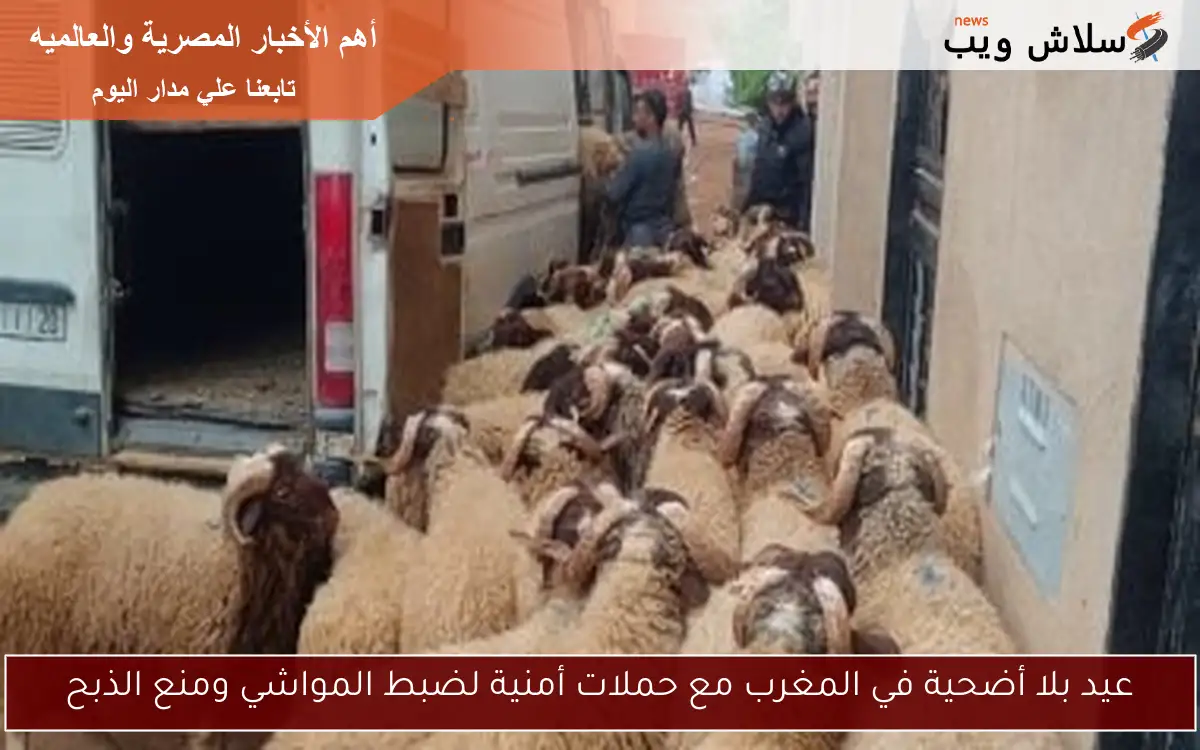 عيد بلا أضحية في المغرب مع حملات أمنية لضبط المواشي ومنع الذبح