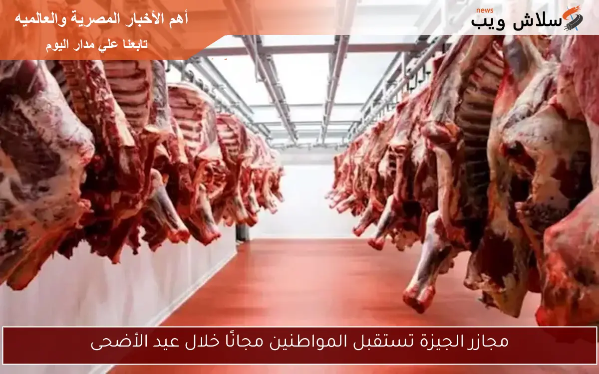 مجازر الجيزة تستقبل المواطنين مجانًا خلال عيد الأضحى