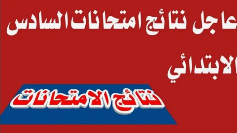 ظهرت الرصافة الاولى.. نتائج السادس ابتدائي العراق 2025 الدور 1 pdf مركز الفحص للدراسة الابتدائية