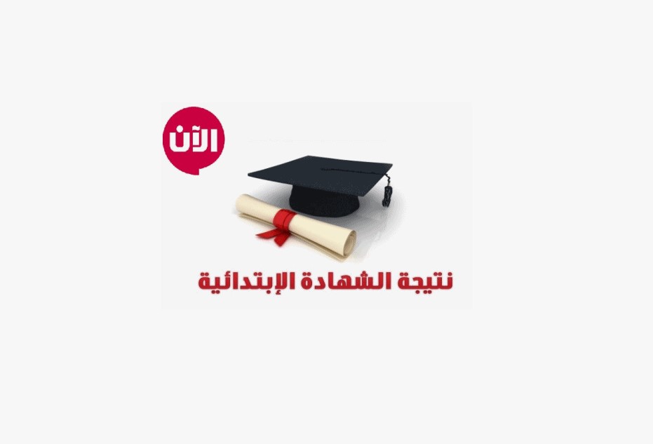 NOW .. نتيجة الصف الرابع والخامس والسادس الابتدائي الأزهري الترم الثاني 2025 natiga.azhar.eg من هنا