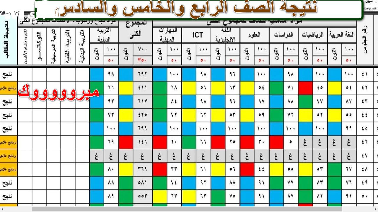 الآن برقم الجلوس: الاستعلام عن نتيجة الصف الرابع والخامس والسادس الابتدائي 2025 الترم الثاني عبر eduserv.cairo.gov.eg