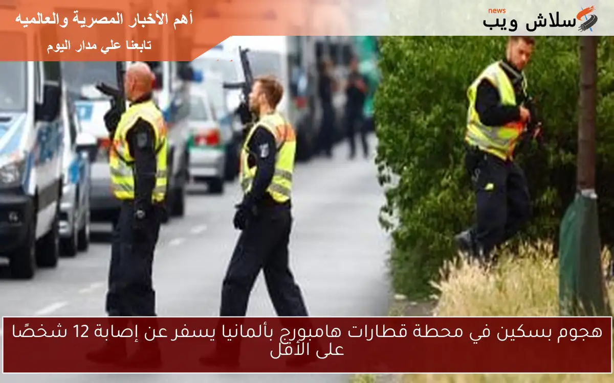 هجوم بسكين في محطة قطارات هامبورج بألمانيا يسفر عن إصابة 12 شخصًا على الأقل