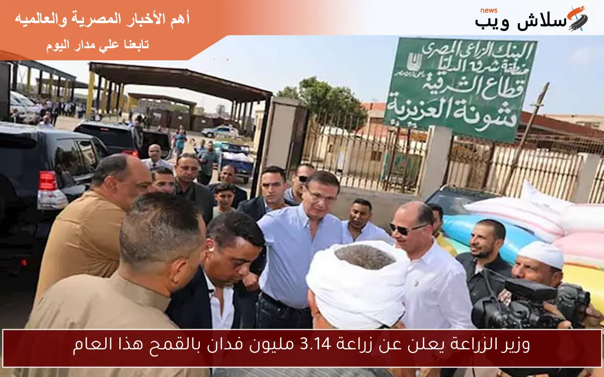 وزير الزراعة يعلن عن زراعة 3.14 مليون فدان بالقمح هذا العام