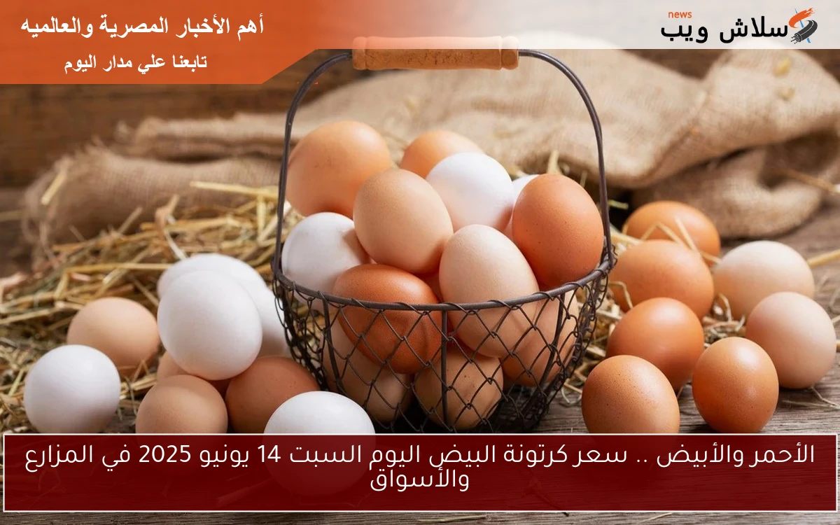 الأحمر والأبيض .. سعر كرتونة البيض اليوم السبت 14 يونيو 2025 في المزارع والأسواق