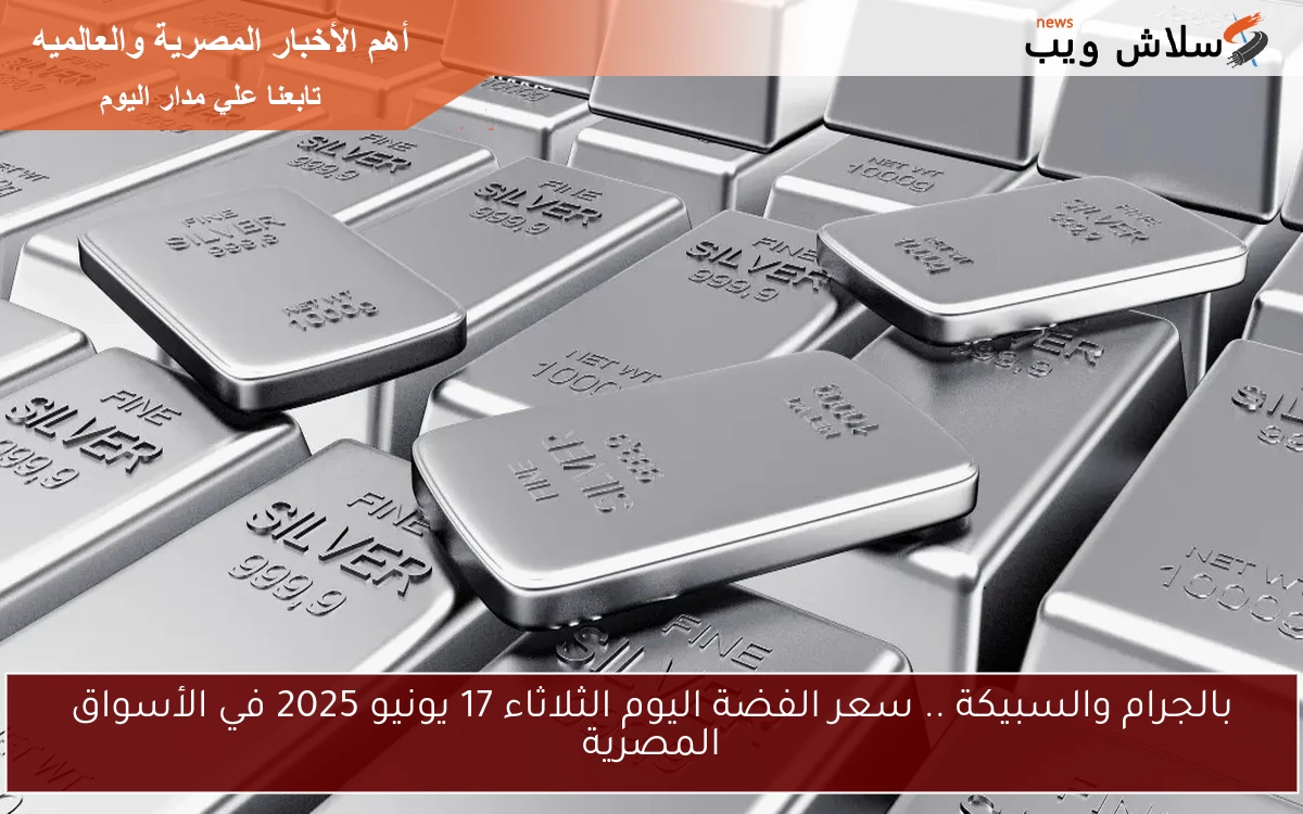 بالجرام والسبيكة .. سعر الفضة اليوم الثلاثاء 17 يونيو 2025 في الأسواق المصرية